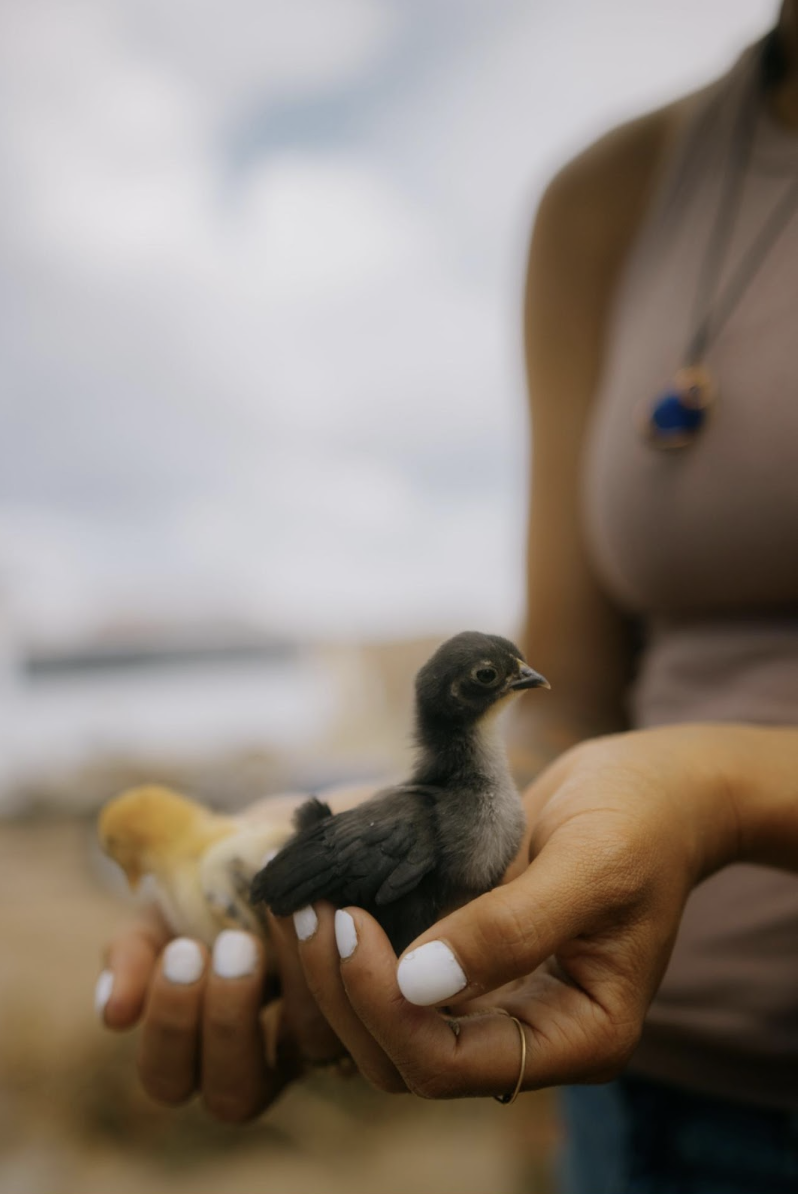 “Waking Up to Our Roots”
